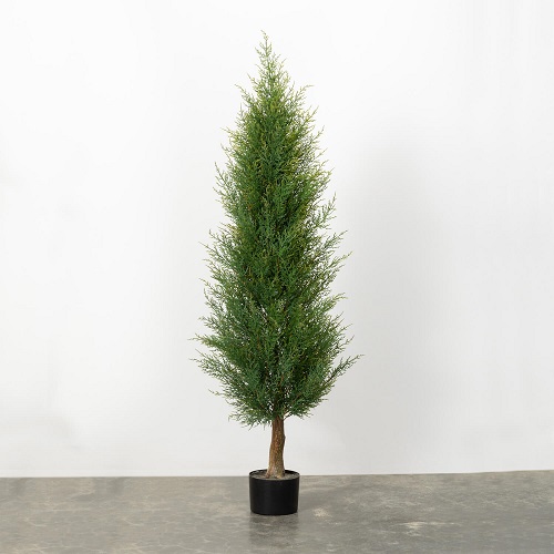 Cedar Arborvite Potted - Artificial Trees/Floor Plants - artificial trees for rent for advertising commercials